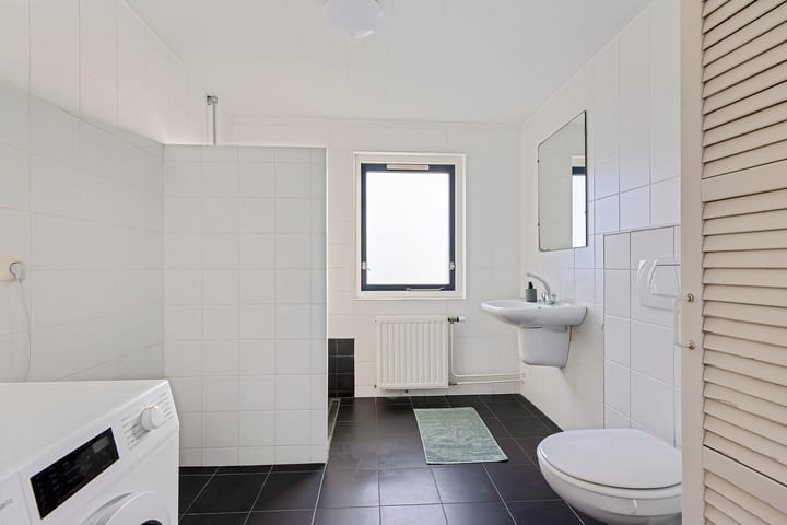 Foto 24 van Postduif 7