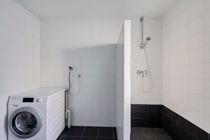 Foto 25 van Postduif 7