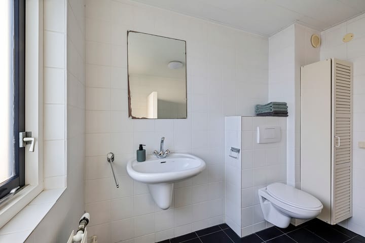 Foto 26 van Postduif 7