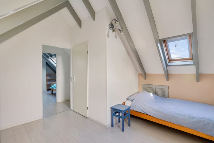 Foto 28 van Postduif 7