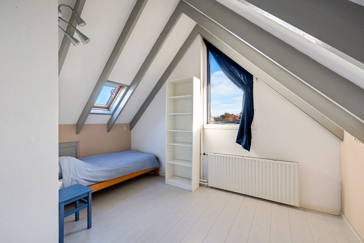 Foto 29 van Postduif 7