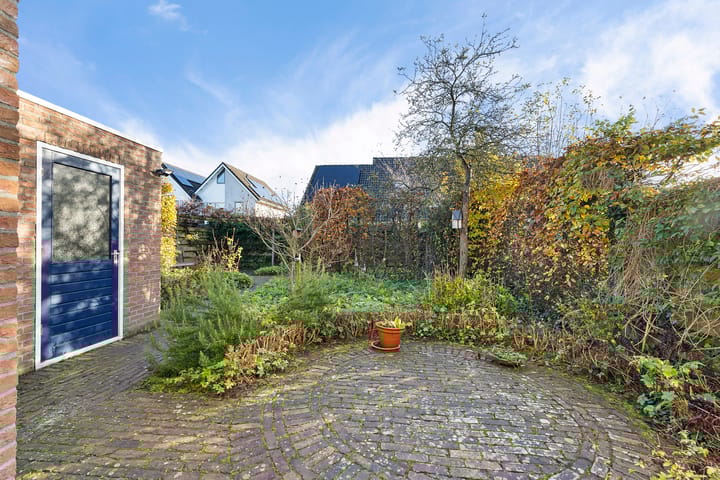 Foto 30 van Postduif 7