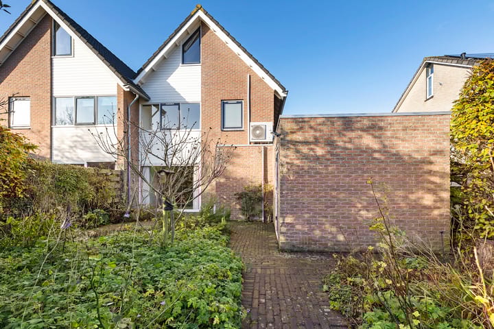 Foto 32 van Postduif 7