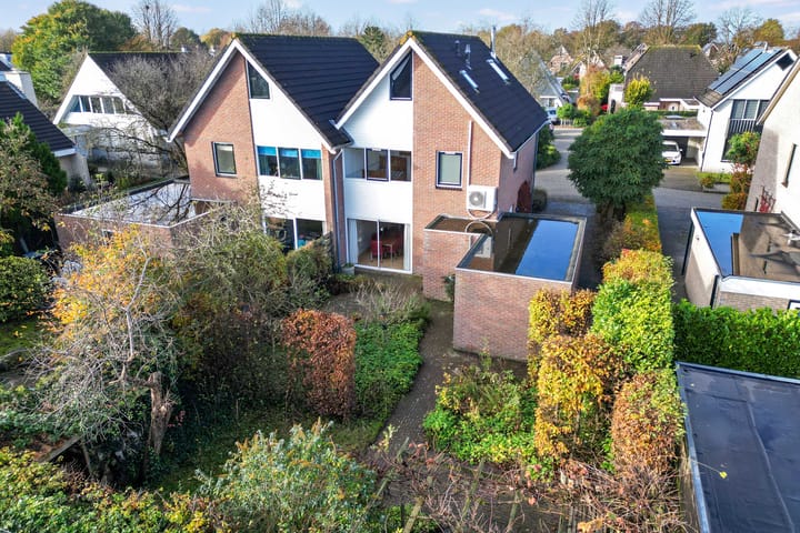 Foto 33 van Postduif 7