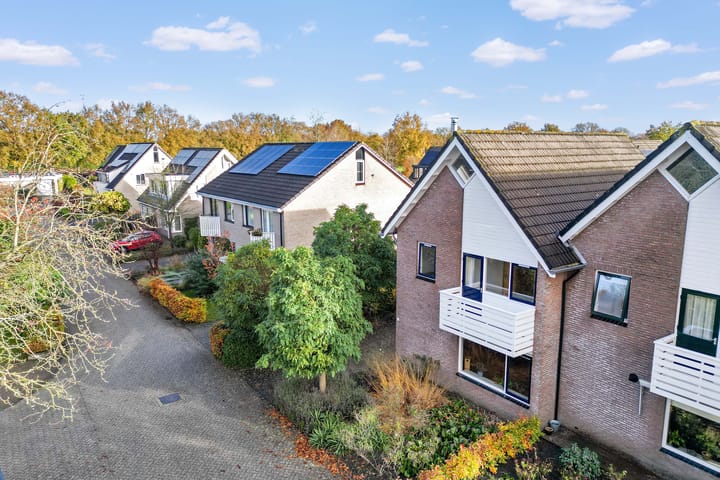 Foto 35 van Postduif 7