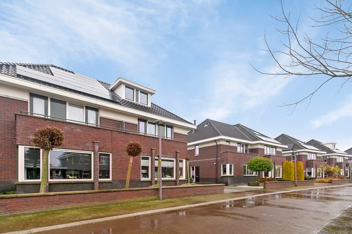 Foto 6 van Honingzoet 23