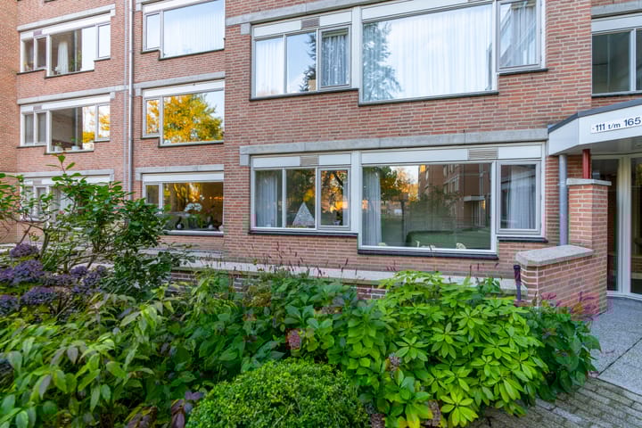 Foto 2 van Bachlaan 119