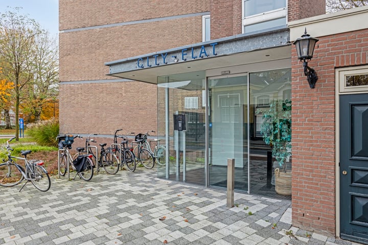 Bekijk foto 5 van Oldenzaalsestraat 109-504