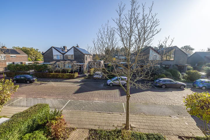 Foto 30 van Schaepmanlaan 25