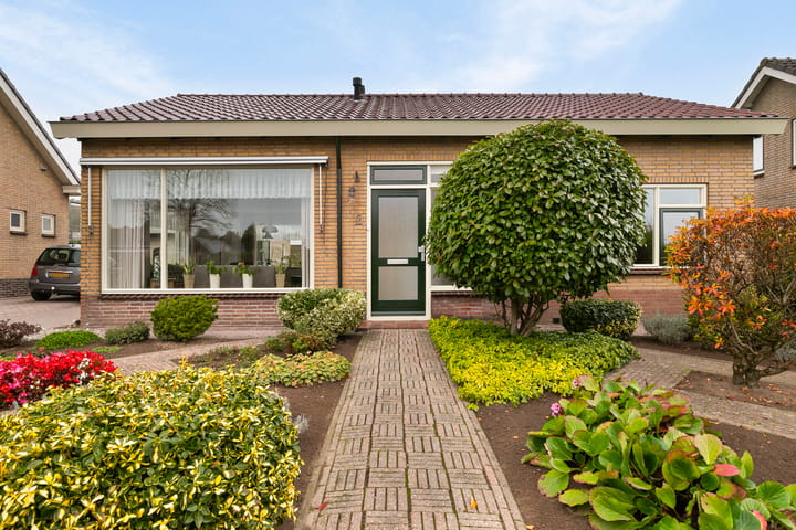 Foto 3 van Boomsluiters 5