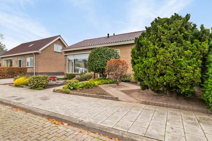 Foto 4 van Boomsluiters 5