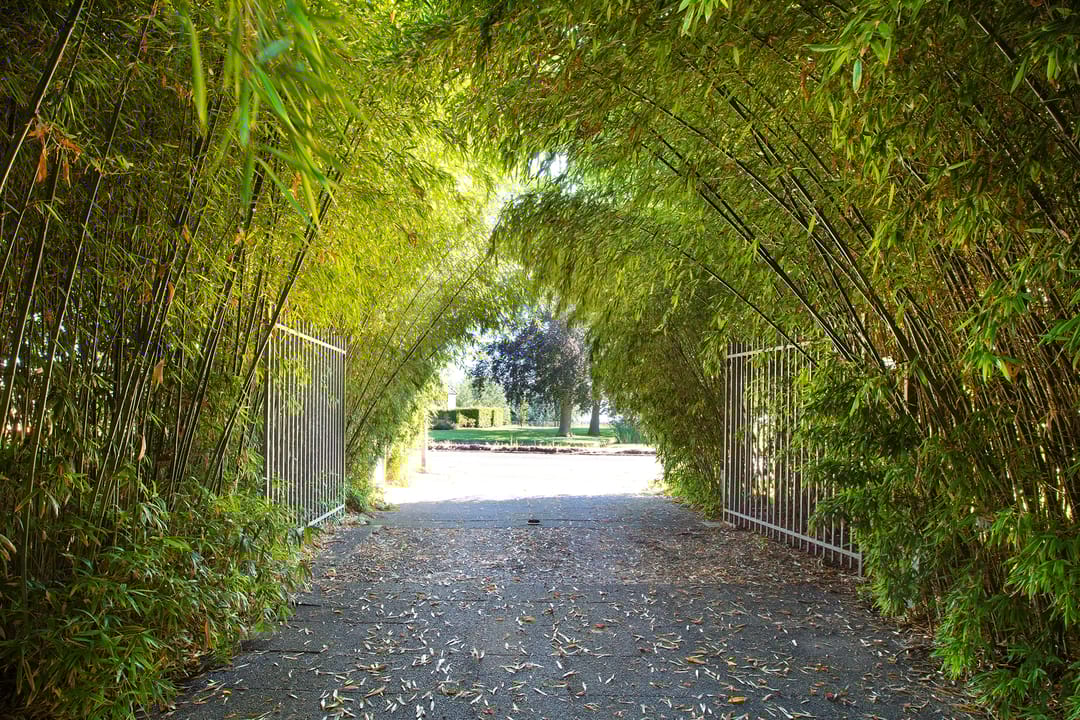 Photo 26 of Herenweg 63