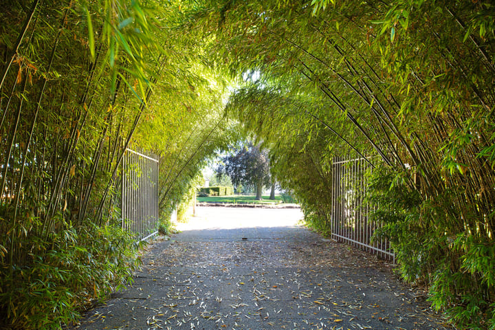 Foto 26 van Herenweg 63