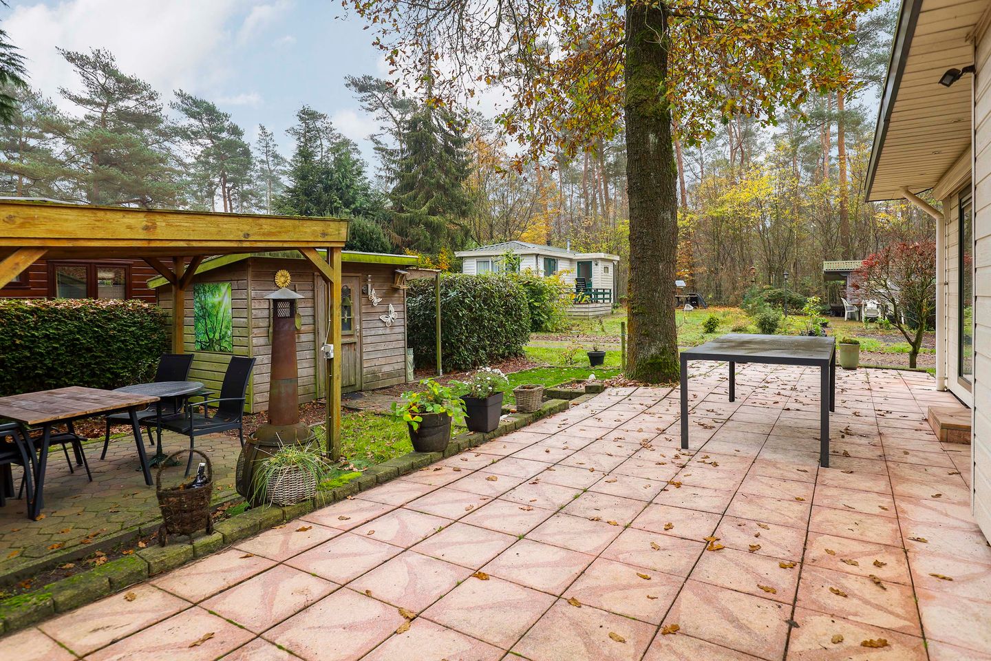 Foto 19 van Klein Paradijs 70-115