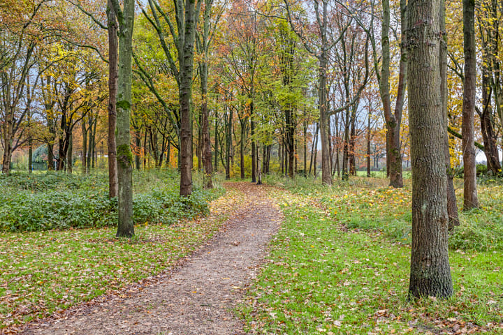 Photo 38 of Hof van Eden 4