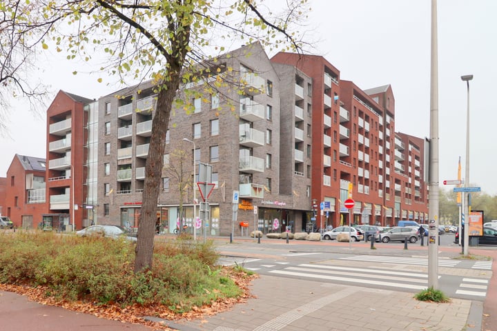 Constant Erzeijstraat 6-B