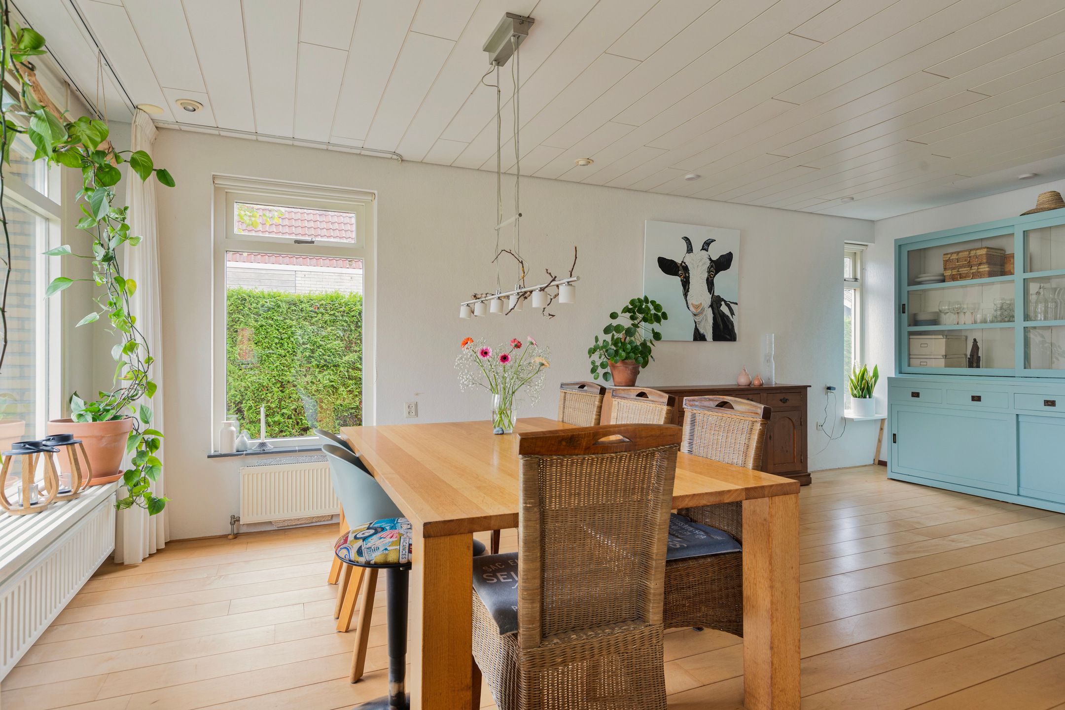 Foto 12 van Noorderdwarsvaart 161