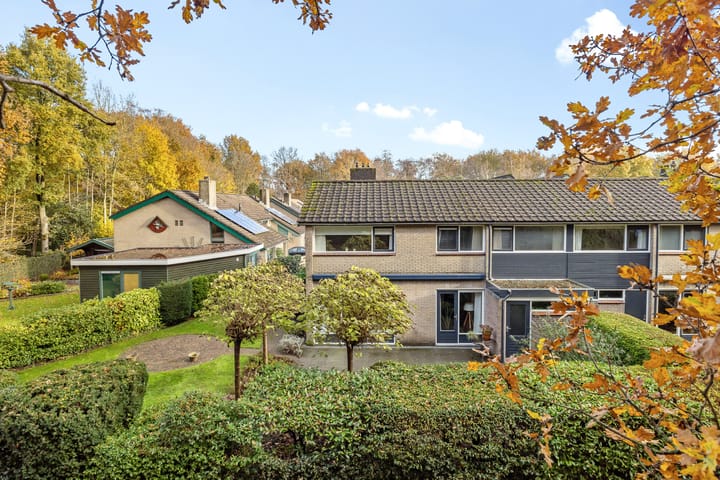 Foto 5 van Eendenkooi 42