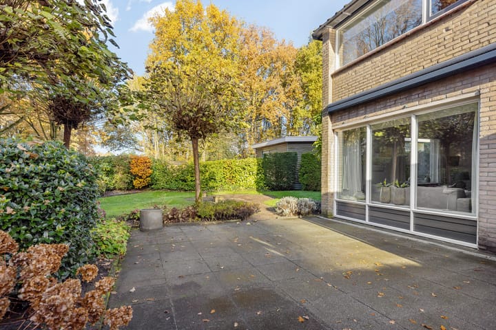 Foto 7 van Eendenkooi 42