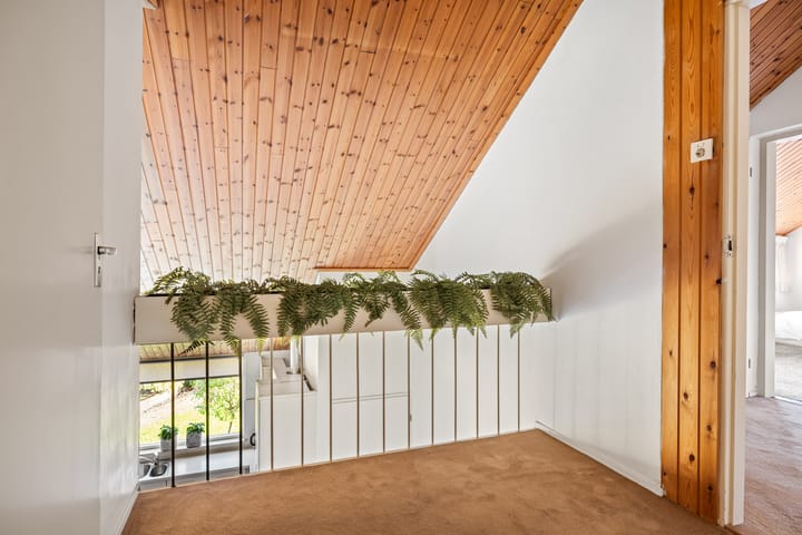 Foto 22 van Eendenkooi 42