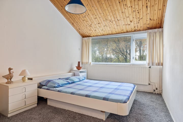 Foto 27 van Eendenkooi 42