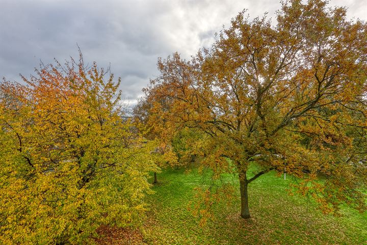 Bekijk foto 10 van Goeverneurkade 44