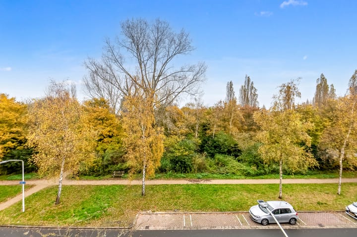 Foto 20 van Brahmslaan 5