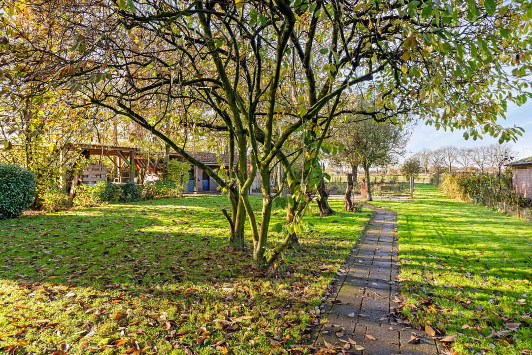 Photo 2 of Kameren 8