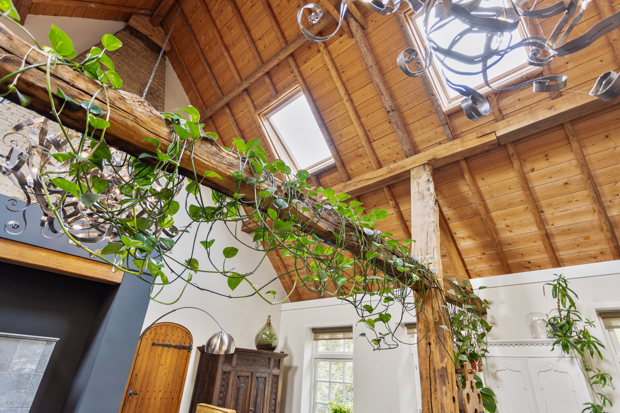 Photo 15 of Kameren 8