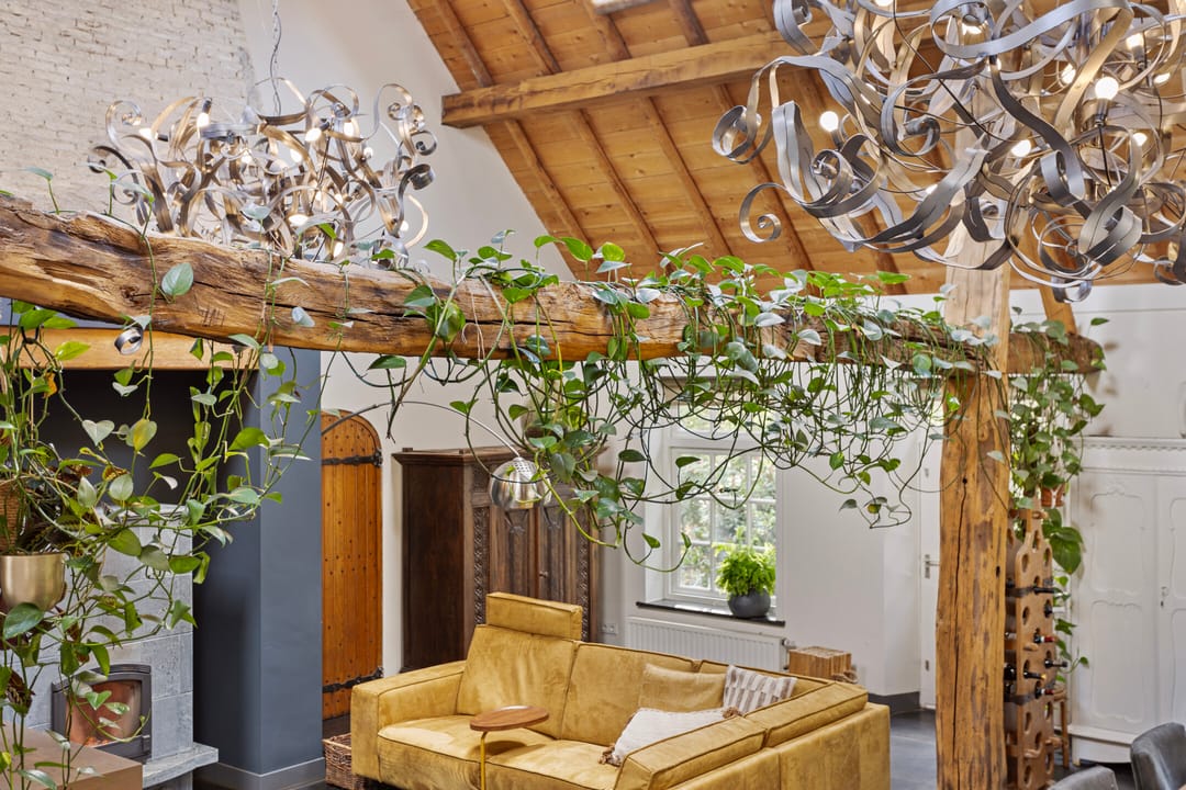 Photo 16 of Kameren 8