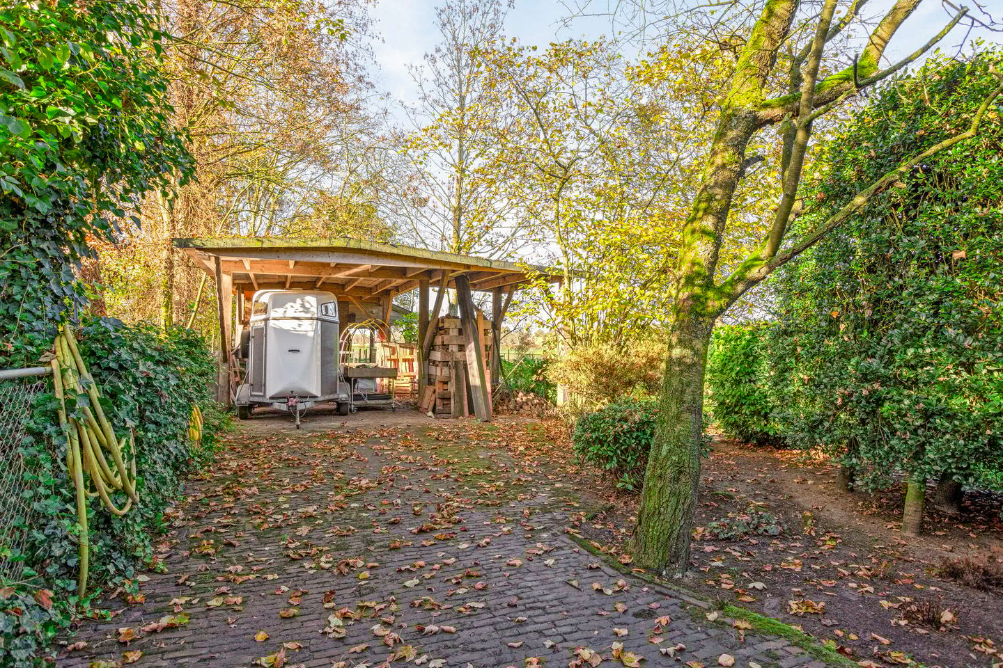 Photo 44 of Kameren 8