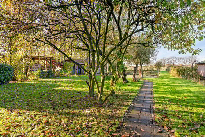 Foto 47 van Kameren 8