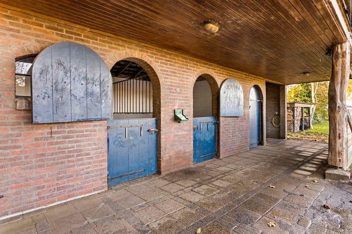 Foto 49 van Kameren 8