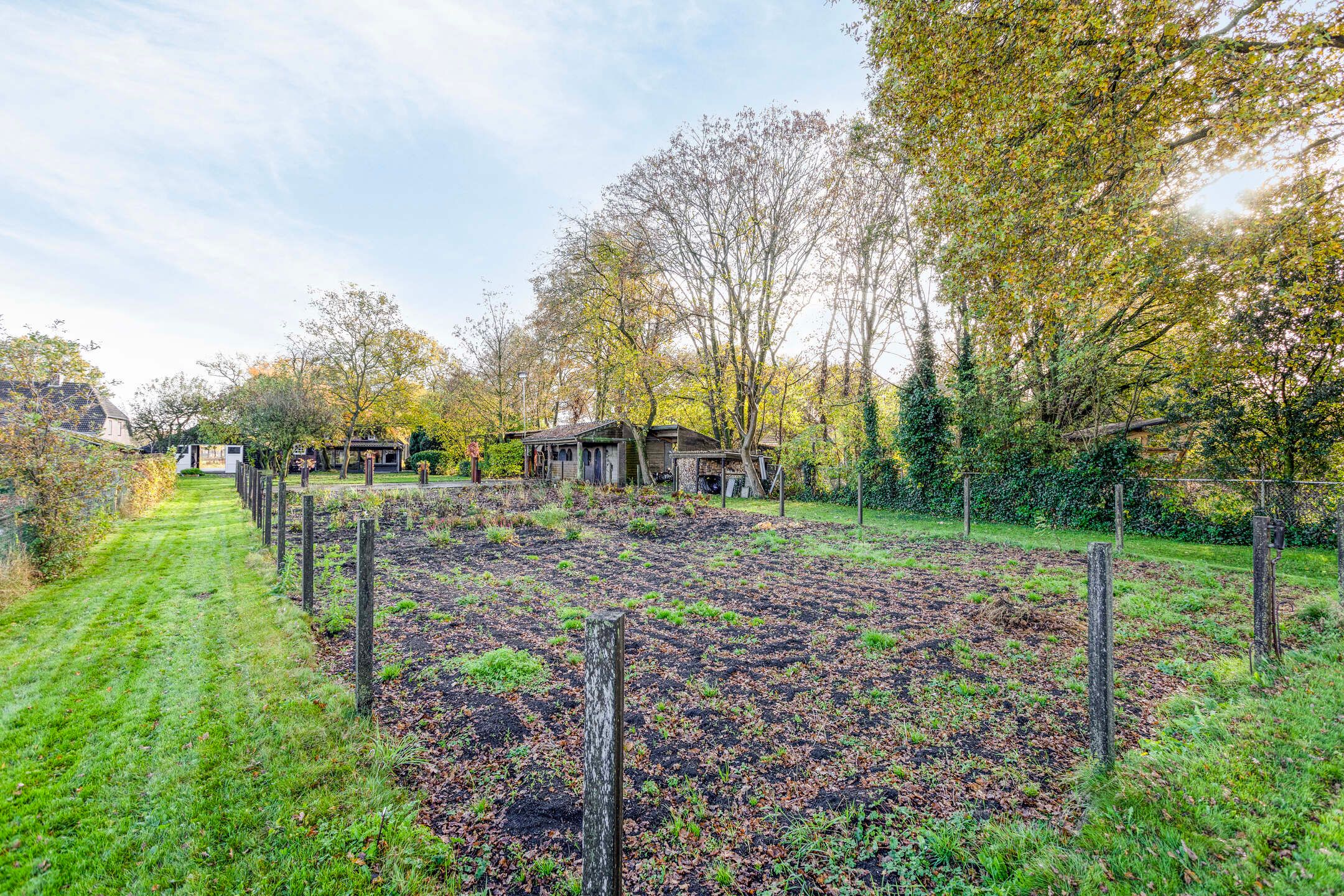 Photo 51 of Kameren 8