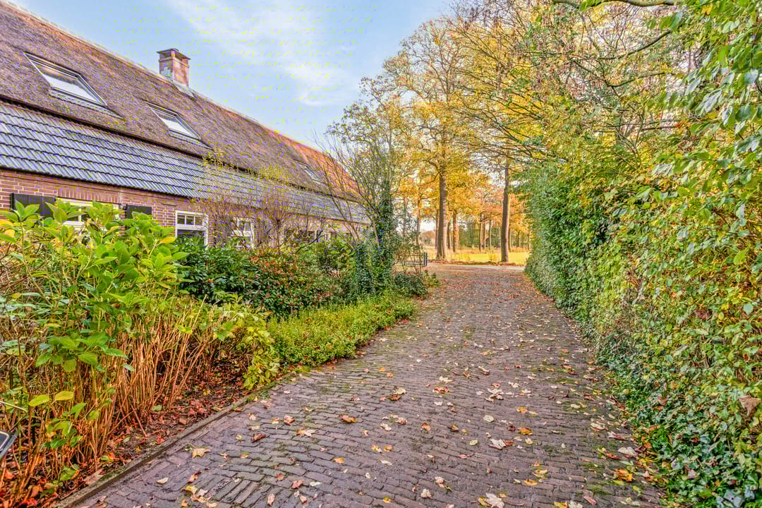 Photo 53 of Kameren 8