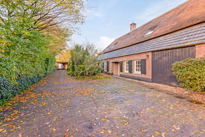 Foto 56 van Kameren 8