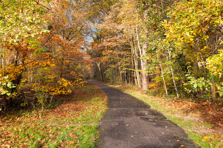 Foto 41 van Veluws Hof 19