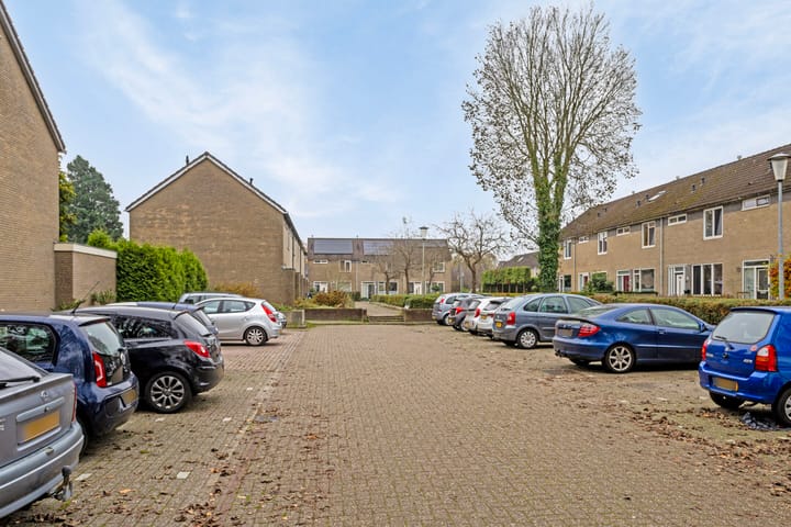 Foto 6 van Ellertsveld 3