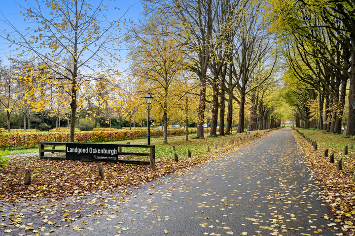 Bekijk foto 37 van Pisuissestraat 93