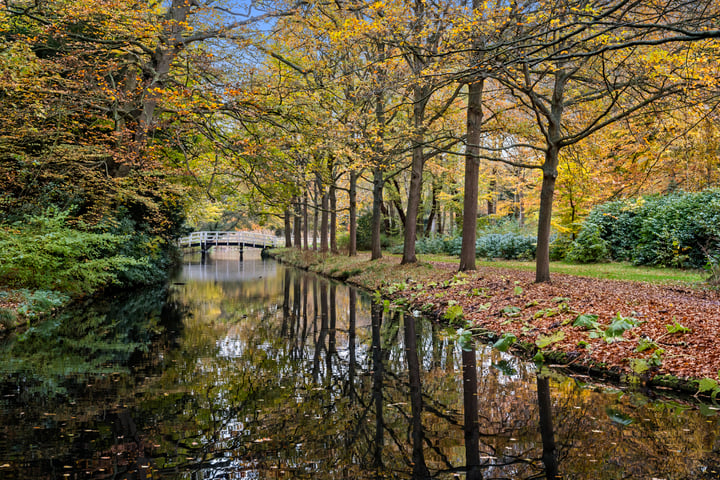 Bekijk foto 39 van Pisuissestraat 93