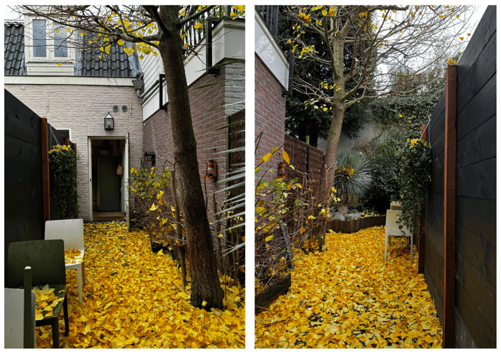 Foto 37 van Morinnesteeg 23