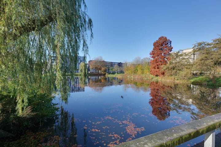 Foto 3 van Hanzestraat 43