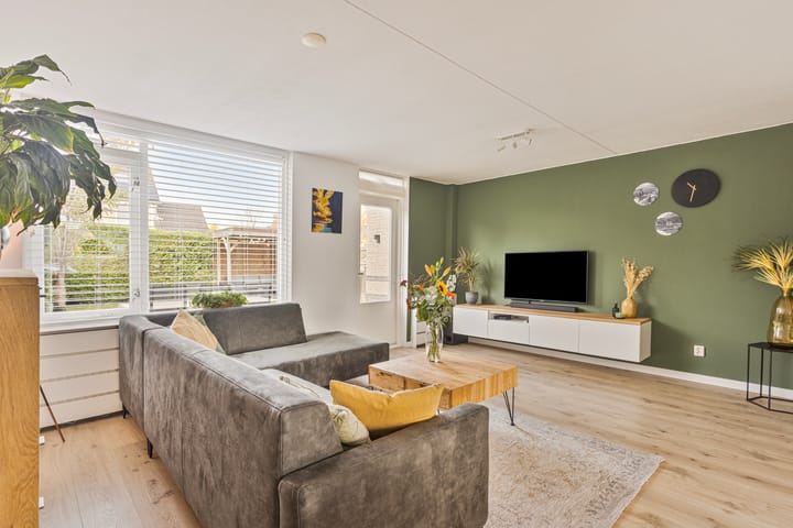 Foto 6 van Zomerland 46