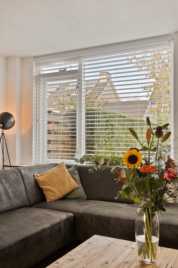 Foto 9 van Zomerland 46