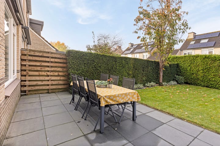 Foto 28 van Zomerland 46