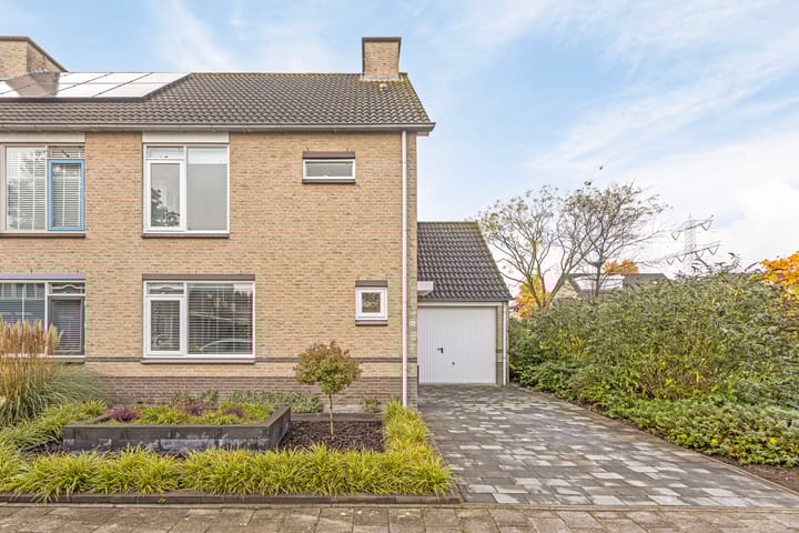 Foto 33 van Zomerland 46