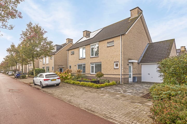 Foto 35 van Zomerland 46