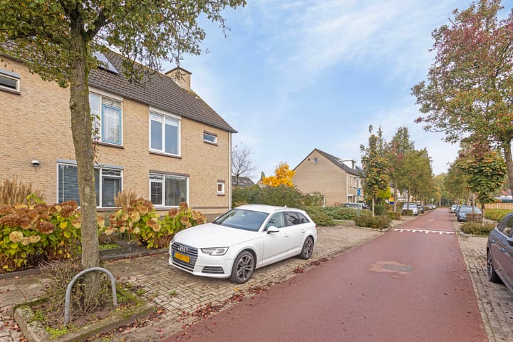 Foto 36 van Zomerland 46