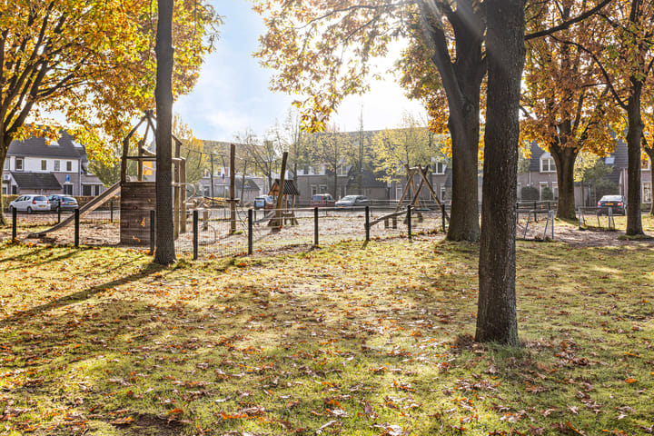 Foto 38 van Zomerland 46