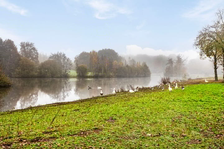 Foto 38 van Buurserstraat 262